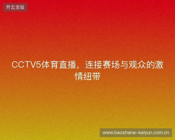 CCTV5体育直播，连接赛场与观众的激情纽带